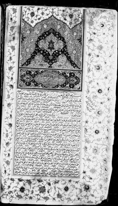 Kitāb al-ʻIlal wa-al-a'rāḍ ... كتاب العلل والاعراض